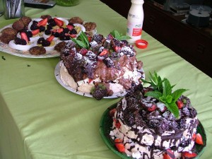 Pavlova Feast