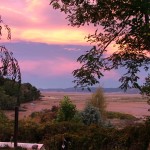Sunset at Fi's house - tide out in the Bay