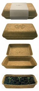 po-zu-shoe-box