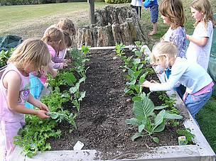WWFlooking_for_butterfly_eggs___hira_school_13555