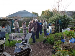 Steve Okeover Community Garden