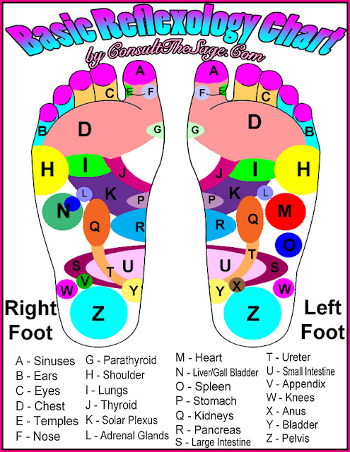 reflexology_chart by: http://consultthesage.blogspot.co.nz/2011/12/easiest-reflexology-chart-ever.html