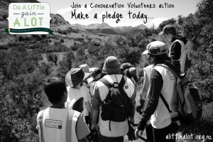 Do A Little, Gain A Lot - what action will you take to Keep New Zealand Beautiful?