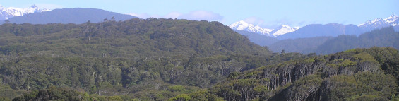 Ekos legally protects mature rainforest  This particular project protects 738 ha of lowland coastal silver beech/podocarp forest at the western end of Te Waewae Bay in western Southland, in the coastal lowlands adjacent to Fiordland National Park. It is located at the start of the Hump Ridge Track - an area popular for trekking/tramping and hunting. 