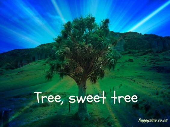 Tree sweet tree
