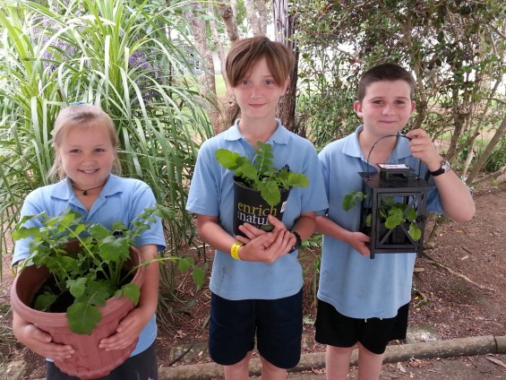 The Great Veggie Project winners from Pukekohe Hill School