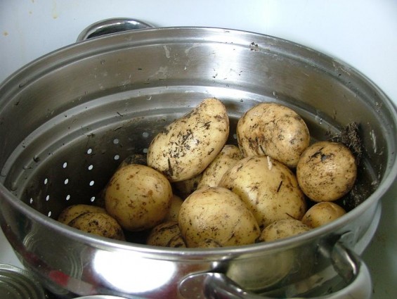 New Potatoes 
