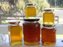 Marcia - Honey in jars