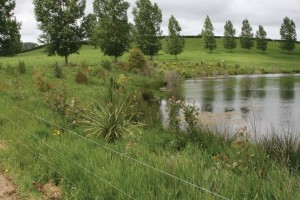 An example of good fencing and trees around a waterway.