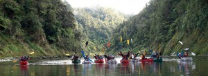 Kayaks in Wanganui